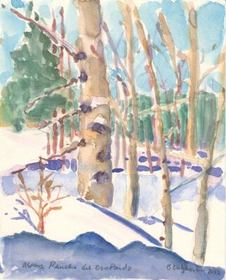 Aspens, Ranchero del Oso Pardo, 2008, watercolor