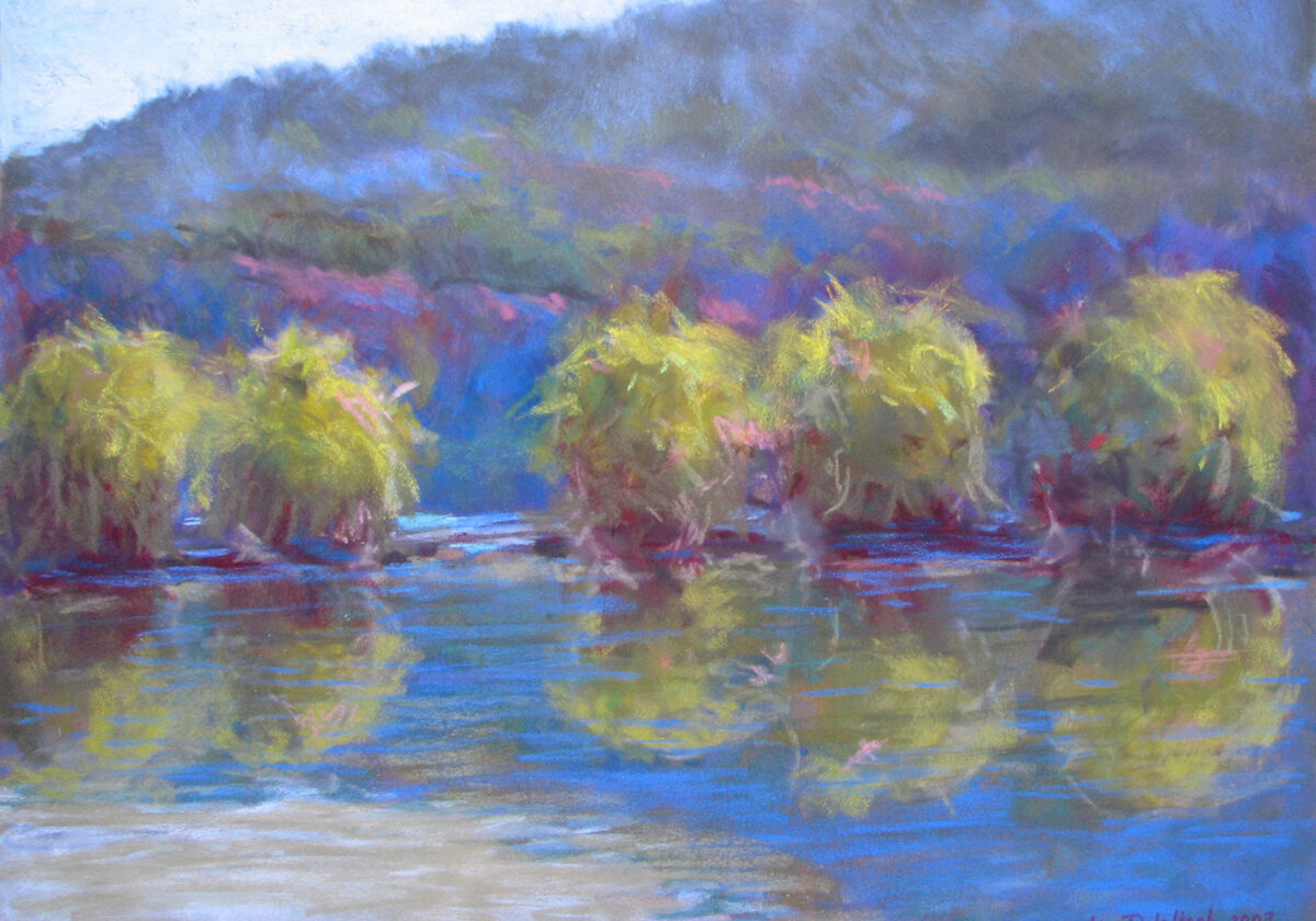River Willows, Pastel, 18 x 25 inches